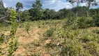 Foto 17 de Fazenda/Sítio à venda, 10000m² em , Cocalzinho de Goiás