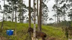 Foto 4 de Fazenda/Sítio à venda, 20000m² em , Guaramirim