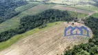 Foto 16 de Fazenda/Sítio com 4 Quartos à venda, 246400m² em Zona Rural, Pilar do Sul