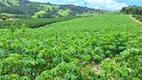 Foto 22 de Fazenda/Sítio à venda, 455000m² em Zona Rural, Turvolândia