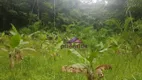Foto 30 de Fazenda/Sítio com 6 Quartos à venda, 500m² em Horto Florestal, Ubatuba