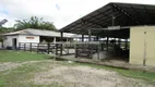 Foto 39 de Fazenda/Sítio com 6 Quartos à venda, 196600m² em Papucaia, Cachoeiras de Macacu