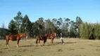 Foto 24 de Fazenda/Sítio à venda, 300m² em Tres Pinheiros, Gramado