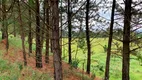 Foto 7 de Lote/Terreno à venda, 31110m² em Chácara do Pinhal, Cabreúva