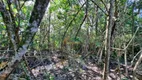 Foto 20 de Fazenda/Sítio à venda, 1000m² em Sao Jose dos Salgados, Carmo do Cajuru