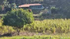 Foto 21 de Fazenda/Sítio com 2 Quartos à venda, 20000m² em Sitio Novo, Mateus Leme