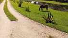 Foto 2 de Fazenda/Sítio com 6 Quartos à venda, 42227m² em Lomba do Pinheiro, Viamão