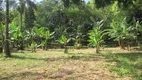 Foto 14 de Fazenda/Sítio com 3 Quartos à venda, 100m² em Jardim Santa Tereza, São Paulo