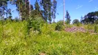 Foto 15 de Fazenda/Sítio com 1 Quarto à venda, 12000m² em Zona Rural, São José dos Pinhais