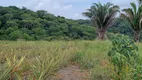 Foto 9 de Fazenda/Sítio à venda, 300000m² em Centro, Tamandare