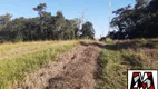 Foto 13 de Fazenda/Sítio à venda, 54000m² em Ivoturucaia, Jundiaí