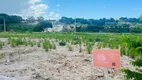 Foto 7 de Lote/Terreno à venda, 229m² em Trancoso, Porto Seguro