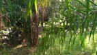 Foto 3 de Fazenda/Sítio com 3 Quartos à venda, 300m² em Recanto das Flores, Indaiatuba