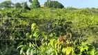 Foto 22 de Fazenda/Sítio com 3 Quartos à venda, 41000m² em Barra do Pojuca, Camaçari