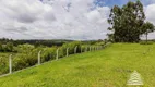 Foto 9 de Fazenda/Sítio com 5 Quartos à venda, 148m² em Faxina, São José dos Pinhais