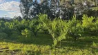 Foto 7 de Fazenda/Sítio à venda em Zona Rural, Urubici