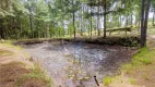 Foto 24 de Fazenda/Sítio com 6 Quartos à venda, 81000m² em Agua Amarela de Baixo, Antônio Olinto