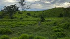 Foto 8 de Fazenda/Sítio com 3 Quartos à venda, 23232000m² em Centro, Pacajá