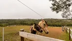 Foto 17 de Fazenda/Sítio com 3 Quartos à venda, 220m² em Centro, Tijucas do Sul