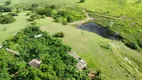 Foto 9 de Fazenda/Sítio com 4 Quartos à venda, 400000m² em Zona Rural, Monte Alegre