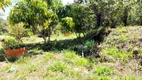 Foto 46 de Fazenda/Sítio com 4 Quartos à venda, 1500m² em Bonanza, Santa Luzia