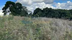 Foto 13 de Fazenda/Sítio à venda, 80000m² em Zona Rural, Maria da Fé