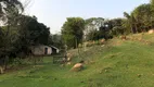 Foto 37 de Fazenda/Sítio com 3 Quartos à venda, 145000m² em Zona Rural, Amparo