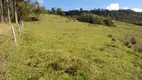 Foto 20 de Fazenda/Sítio com 2 Quartos à venda, 80000m² em Centro, Alfredo Wagner