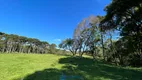 Foto 8 de Fazenda/Sítio com 1 Quarto à venda, 57000m² em São Victor Cohab, Caxias do Sul