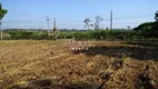 Foto 7 de Lote/Terreno para alugar, 4517m² em Pau Queimado, Piracicaba