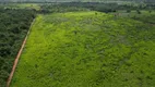 Foto 16 de Fazenda/Sítio com 2 Quartos à venda, 150m² em Centro, Piraquê