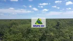 Foto 13 de Fazenda/Sítio à venda, 70000000m² em Zona Rural, Pilão Arcado