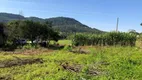 Foto 19 de Fazenda/Sítio com 3 Quartos à venda, 100m² em , Forquetinha