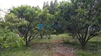 Foto 3 de Fazenda/Sítio com 2 Quartos à venda, 2490m² em Campo Verde, Ibiúna