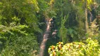 Foto 7 de Fazenda/Sítio com 4 Quartos à venda, 64800m² em Pedra Branca, Alfredo Wagner