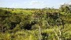 Foto 2 de Lote/Terreno com 1 Quarto à venda, 50m² em Vila da Telebrasilia, Brasília