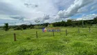 Foto 55 de Fazenda/Sítio com 4 Quartos à venda, 48400m² em Zona Rural, Mirassol