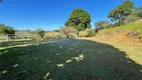 Foto 29 de Fazenda/Sítio com 5 Quartos à venda, 170000m² em Centro, Rio Novo