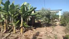 Foto 29 de Fazenda/Sítio com 4 Quartos à venda, 3000m² em Paranoá, Brasília