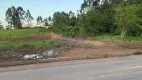 Foto 3 de Lote/Terreno à venda, 3000m² em Santa Cruz, Gravataí