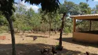 Foto 18 de Fazenda/Sítio com 3 Quartos à venda, 2000m² em Mansoes das Andorinhas, Novo Gama