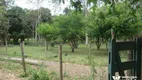 Foto 82 de Fazenda/Sítio com 6 Quartos à venda, 300m² em , Conceição das Alagoas