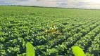 Foto 4 de Fazenda/Sítio com 1 Quarto à venda, 100m² em Zona Rural, Piracanjuba