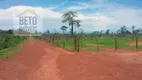 Foto 6 de Fazenda/Sítio à venda, 116950000m² em Zona Rural, Alvorada do Norte