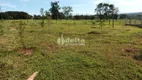 Foto 22 de Fazenda/Sítio com 2 Quartos para alugar, 20000m² em Presidente Roosevelt, Uberlândia