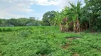 Foto 8 de Fazenda/Sítio com 3 Quartos à venda, 100000m² em Corrego Rico, Planaltina