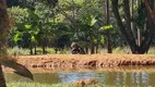 Foto 21 de Fazenda/Sítio com 4 Quartos à venda, 397622m² em Zona Rural, Bela Vista de Goiás