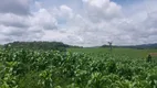 Foto 9 de Fazenda/Sítio à venda, 480000m² em Tranqueira, Almirante Tamandaré