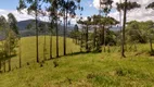 Foto 21 de Fazenda/Sítio com 3 Quartos à venda, 36000m² em , Piracaia