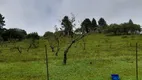 Foto 8 de Fazenda/Sítio com 3 Quartos à venda, 49000m² em Roça Velha, São José dos Pinhais
